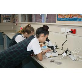 Open Day and Fair 2016