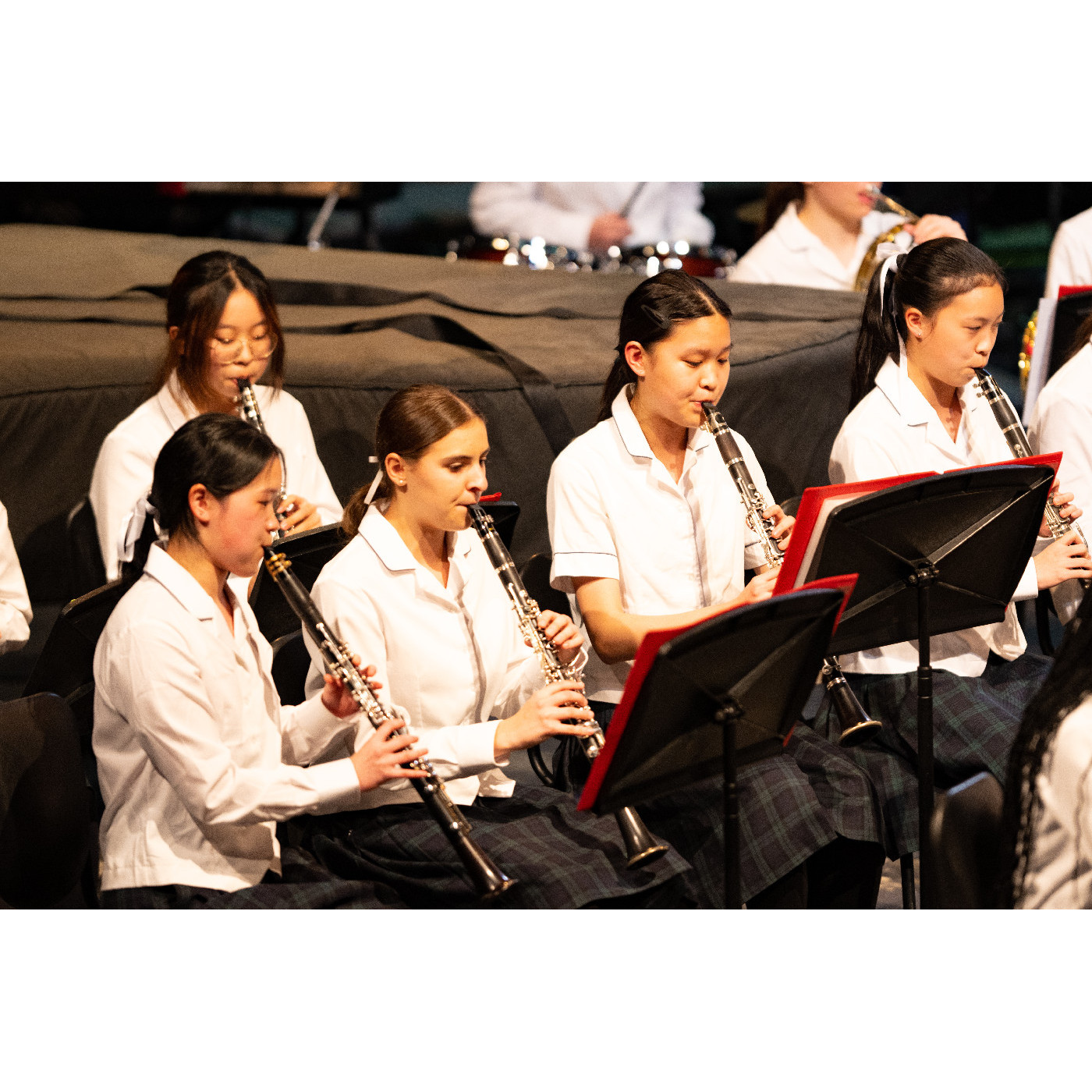 Annual Music Festival