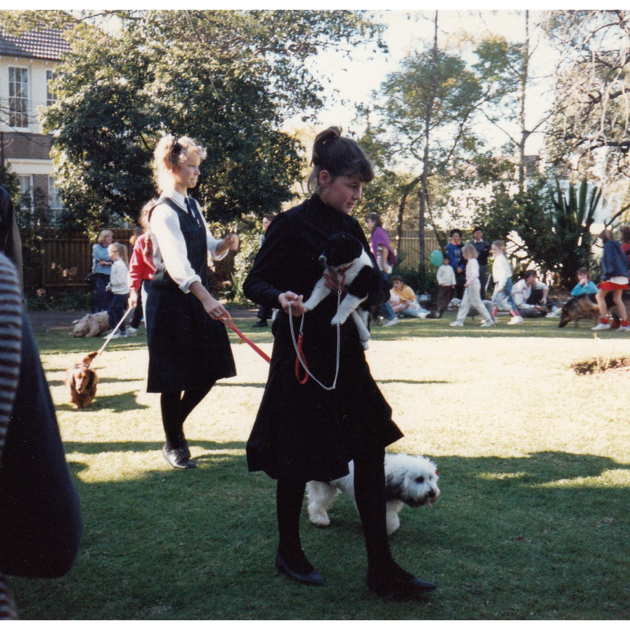 Pet Show