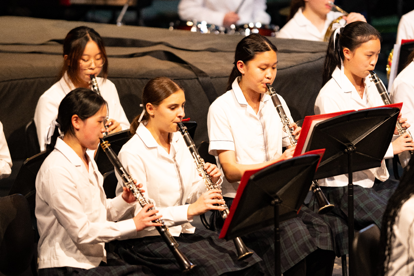 Annual Music Festival